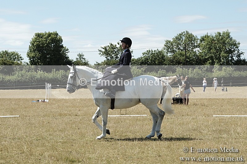 _PJP5946 - Dressage Classes BVRC Show 2018