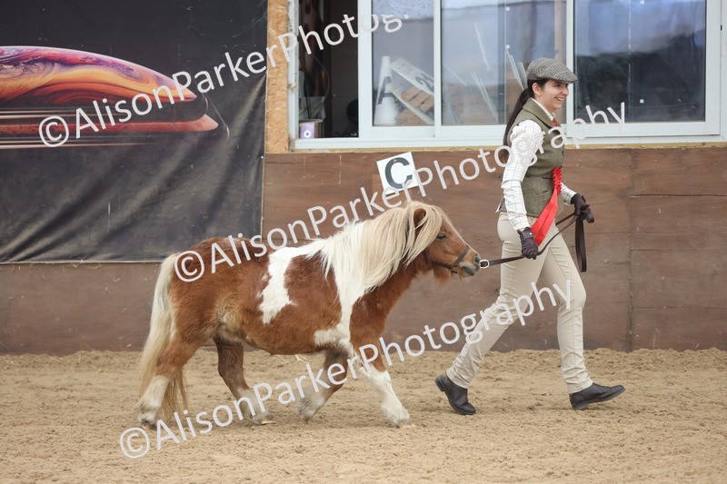 20251109-0361 - Class 13 - Mares 4 Years and Over