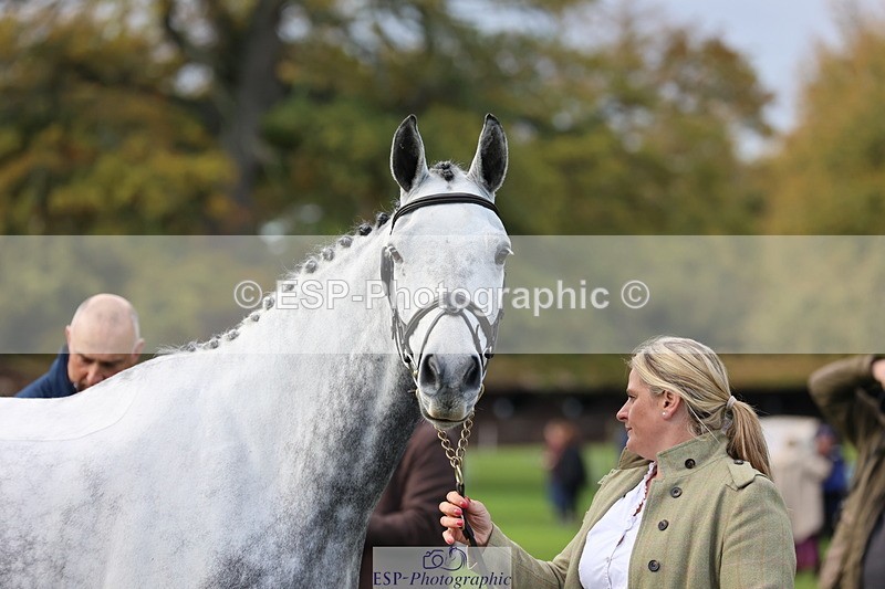 251026A-102955-23045 - E-388-Charlotte.Rowe