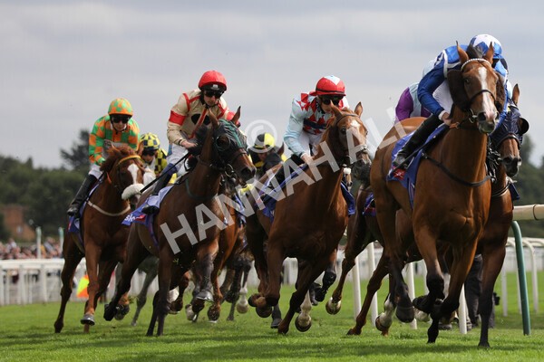 yr17082022r5-24 - Race 5 4.10pm Sky Bet Stayers Stakes