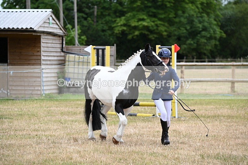 WJ6_4388 - Class 10 Coloured In-hand