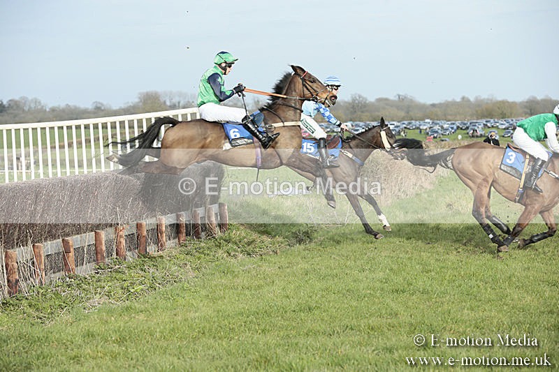 PtP 230319 486 - VWH Hunt Siddington Point-to-Point Racing 23/03/19