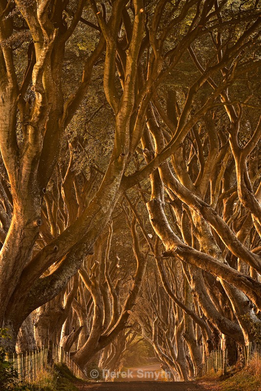 Game Of Thrones - The King's Road