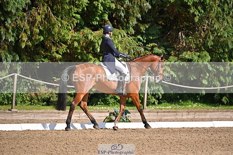 250523A-163226-08080 - B-378-Molly.Brown-KILRUSH.RED