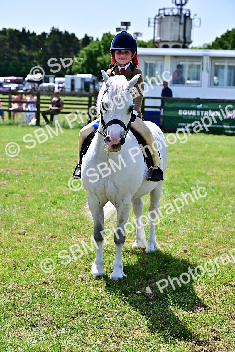 SBM_06127 - Class 59-60 - TSR M&M  Lear Rein and First Ridden Amateur of the year