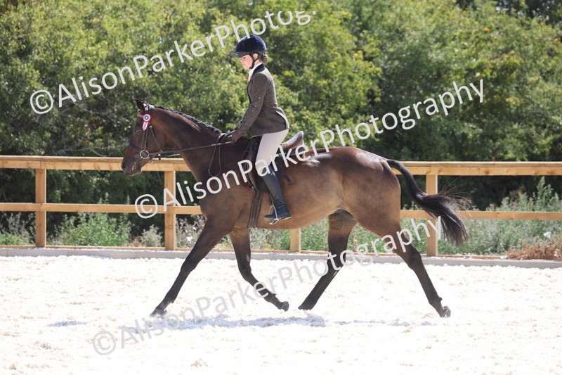 20260802-0757 - Class 8 - Best Riding Horse or Pony