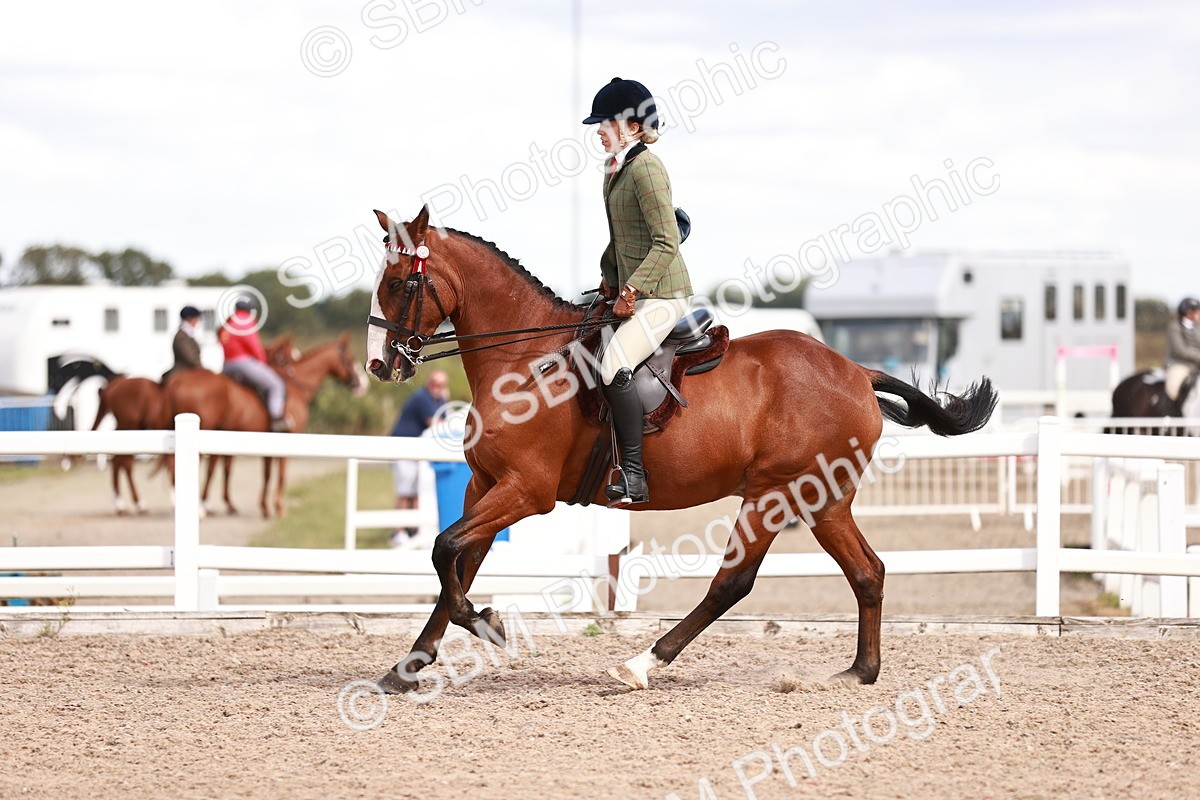 SBM_14470 - Class 410 - Grassroots Ridden - Horse