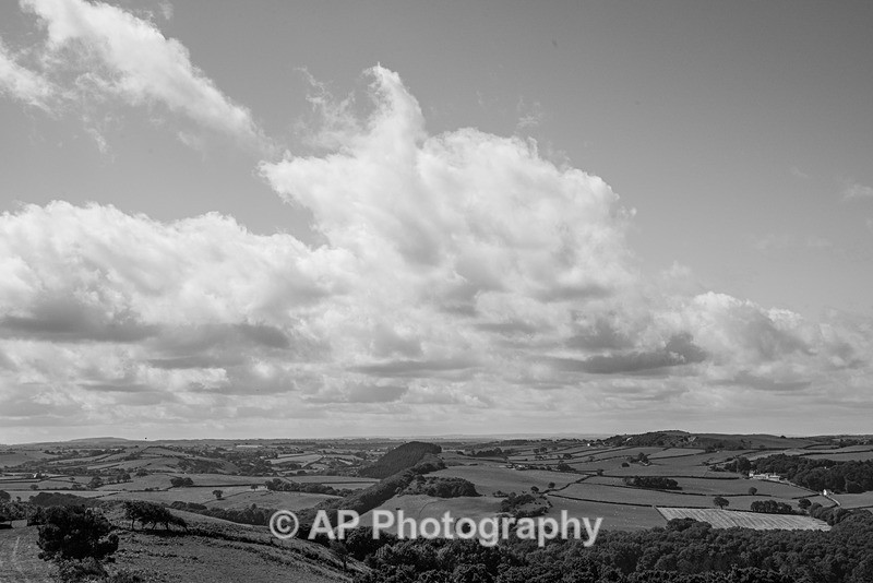 ACP_2482-1 - Rural Views