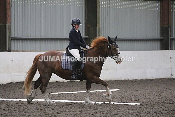 SIAL5640 - CAbin Dressage 5th july 2025