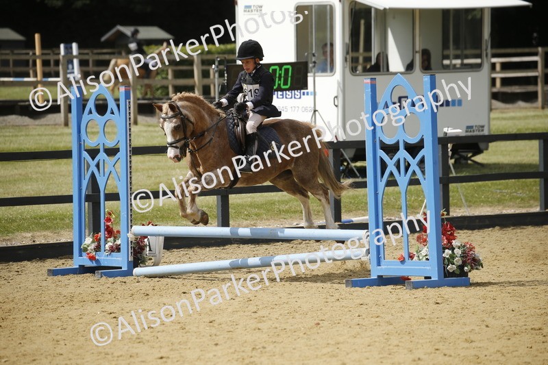 20250622-3806 - 50cm