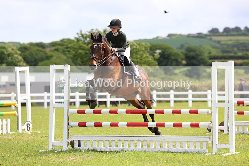 3E7A7506 - Class 13: Senior British Novice/90cm open