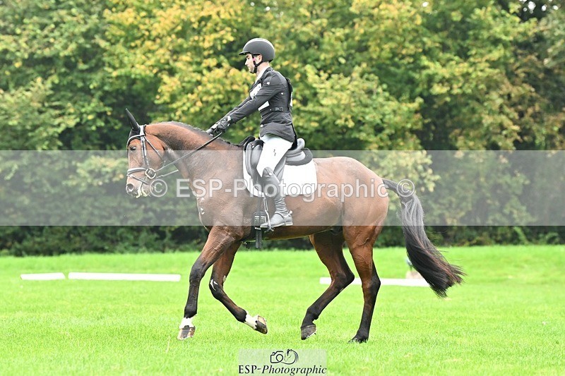 241024-144544-04362 - 584-Tommy.Greengard-I'M.ALL.IN