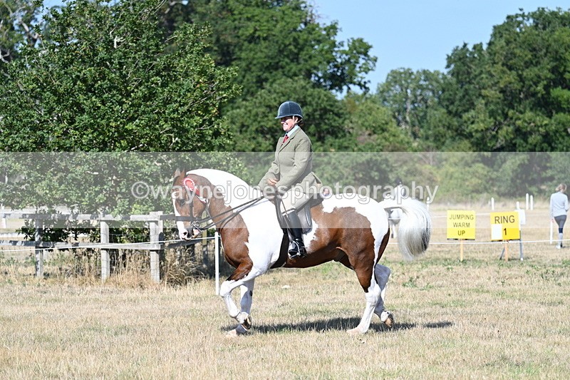 WJ7_3250 - Class 8 Ridden Tack & Turnout