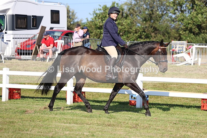 3E7A5252 - Class 2: Rising Star Large Hack/Riding Horse