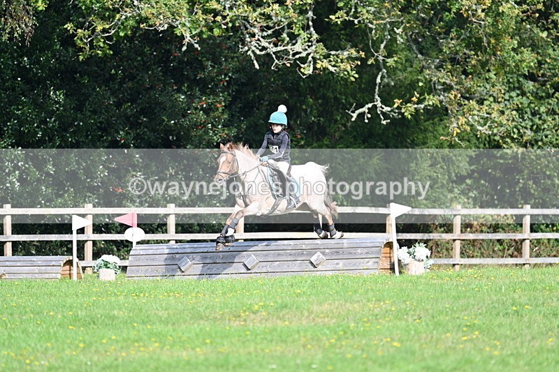 WJ7_5009 - 60cm Time 11:11 to 11:19