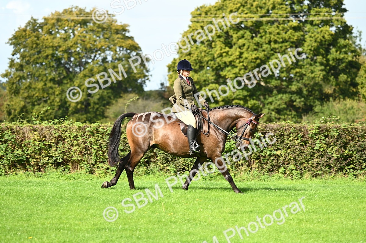 SBM_01777 - S2 - TSR Ridden Horse Showing