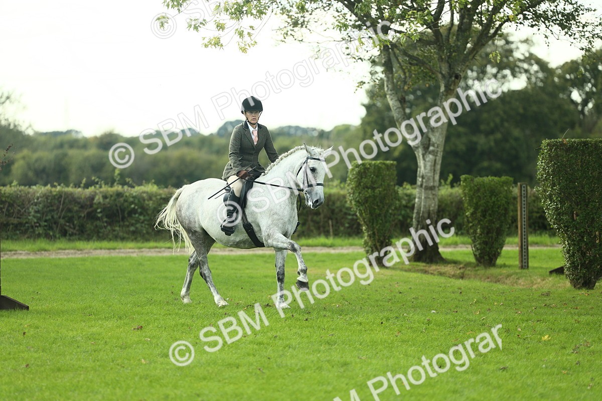 SBM_50681 - S33 - Working Hunter & Working Show Horse