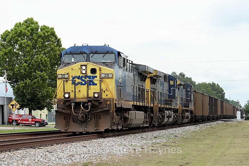 9th Aug 2017 - Folkston Funnel, GA
