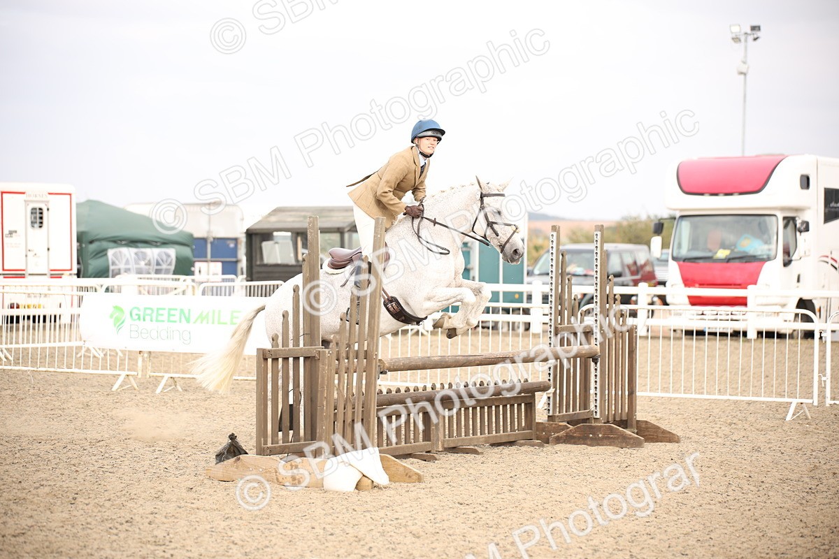 SBM_17350 - Class 410b - Working Veteran 90cm (20+)