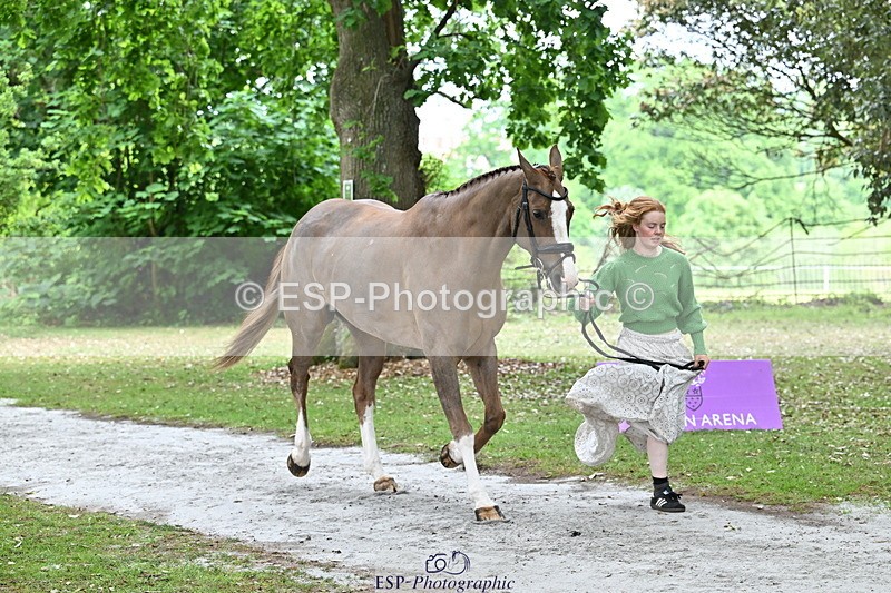 250521A-145104-00281 - A-057-Tabitha.Moore-BILLY.HOODOOS