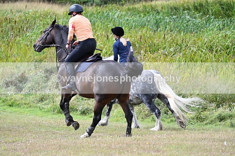 WJ7_4845 - Time 11:17 to 11:22