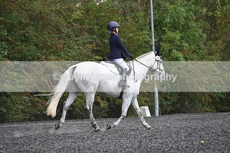 WJ7_6587 - Time 14:49 to 15:14