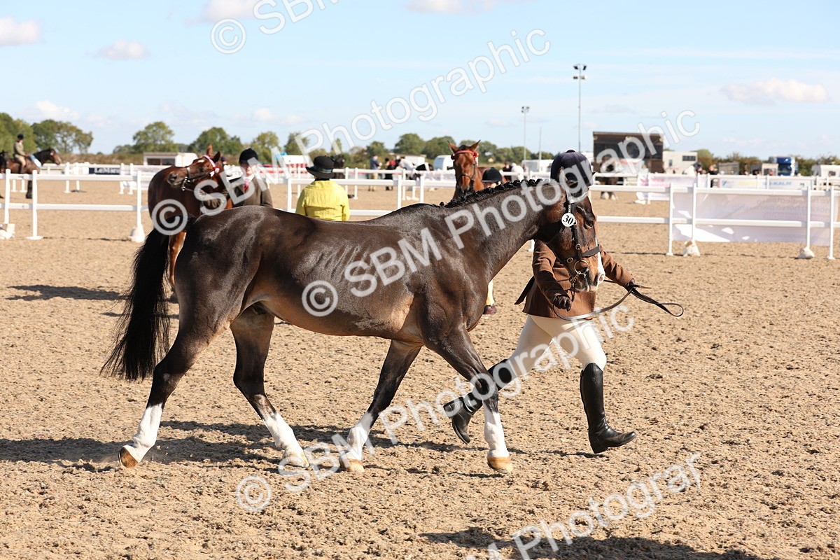 SBM_12844 - Class 205 - IH Show Pony - Show Hunter Pony