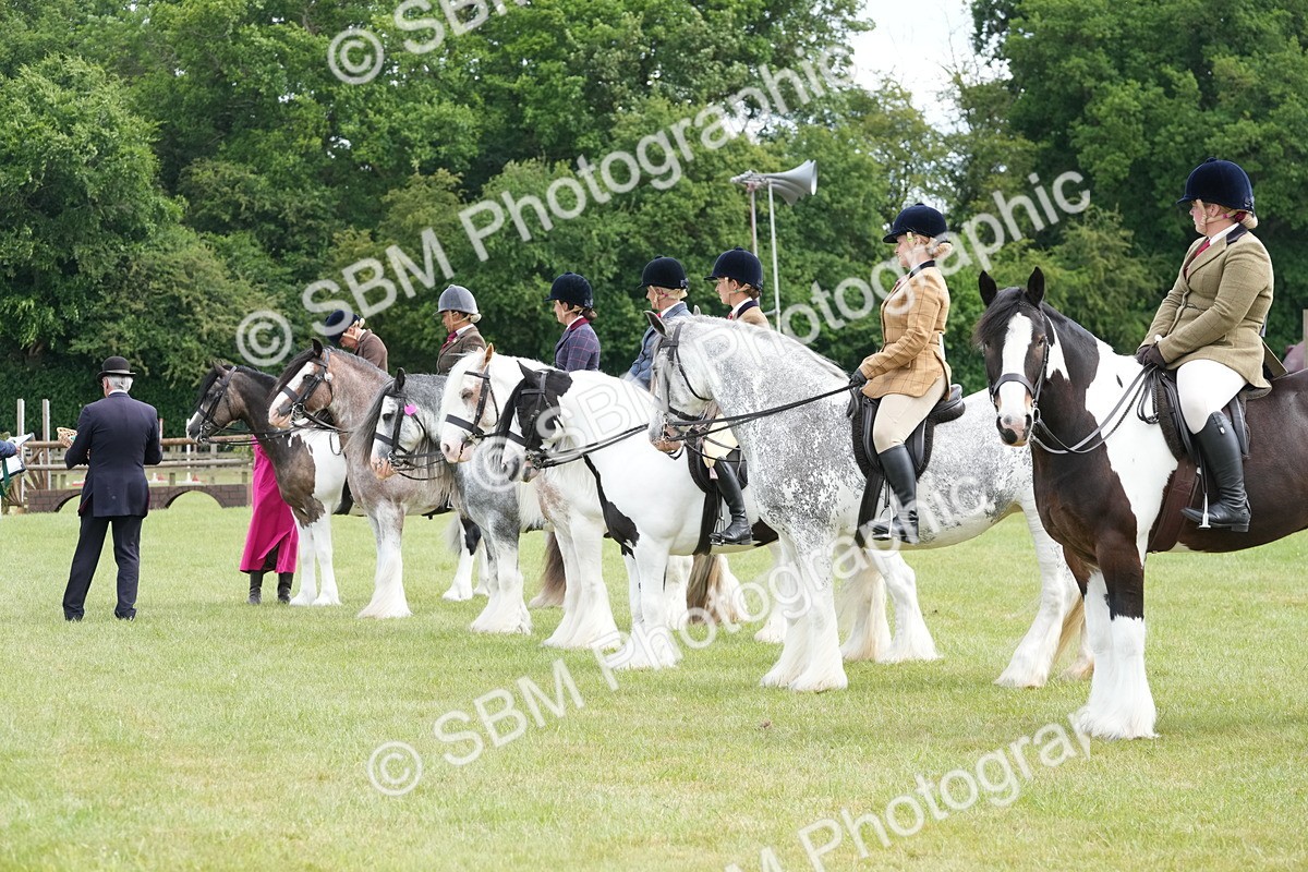 SBM_17319 - Class 107-108 - LIHS BSPS Performance Coloured Horse Pony