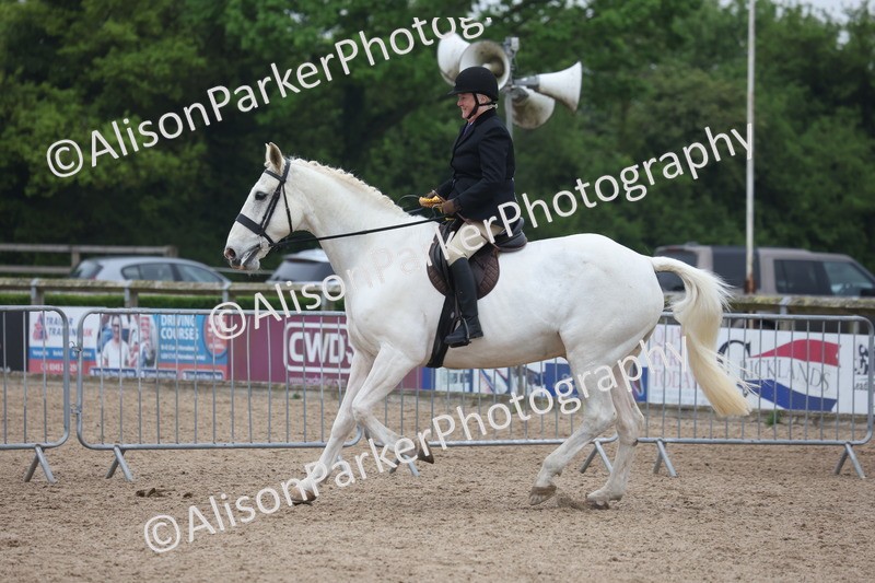 20260504-1188 - Class 14 - Cob and Hunter