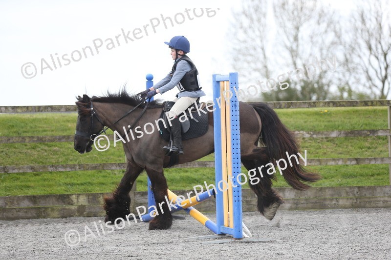 20260412-0588 - Show Jumping