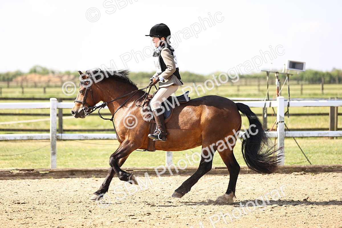 SBM_000250 - class 2 - 50cm