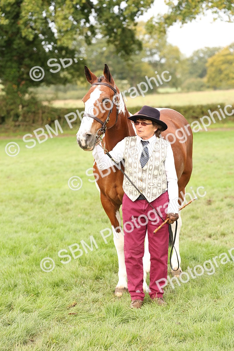 SBM_56808 - S54 - Piebald & Skewbald Horse In Hand