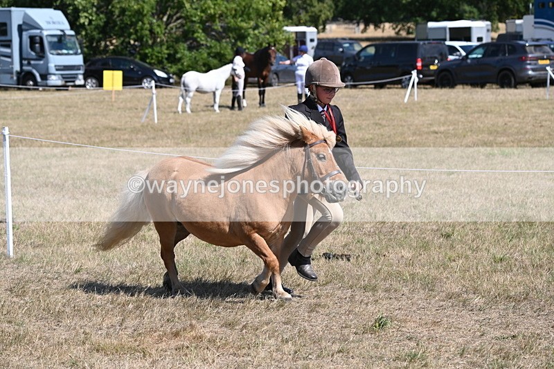 WJ6_9209 - Championship Classes 33-38