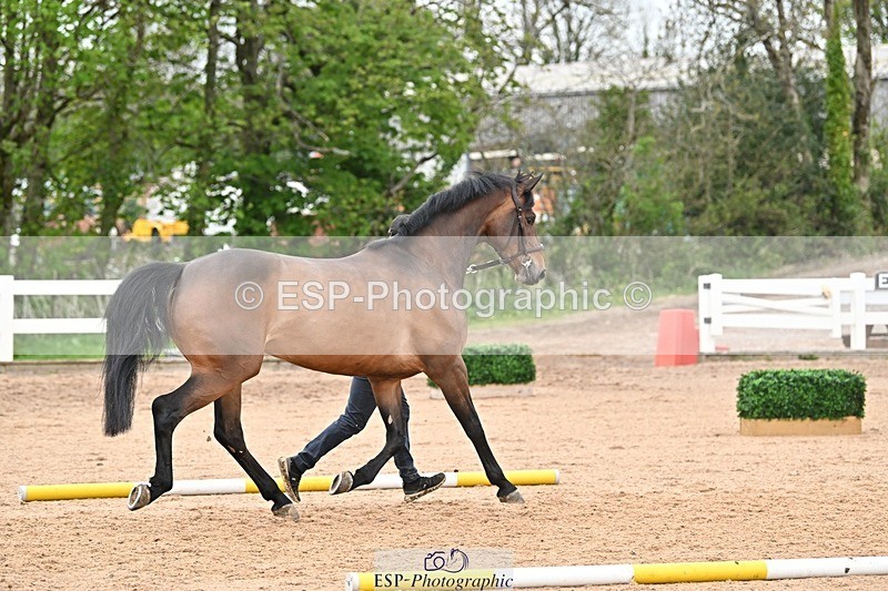 250423-161834-02101 - 4pm to 5pm