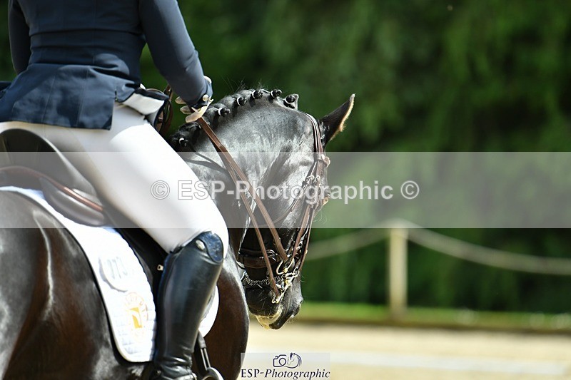 230623-154023-02735 - Cls 6 Elementary 53Q