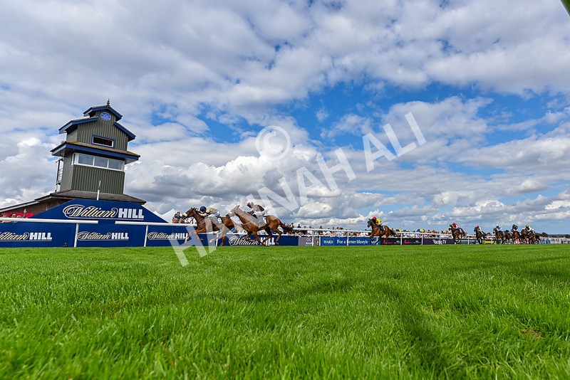 300826-Race 3-Pivotal Voyage-6604 - Race 3 2.50pm Churchill Tyres EBF Restricted Maiden Fillies' Stakes