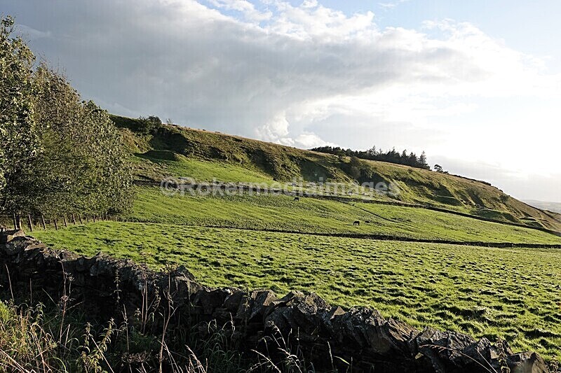 DSC07740 - SEPT 2020 STAYCATION