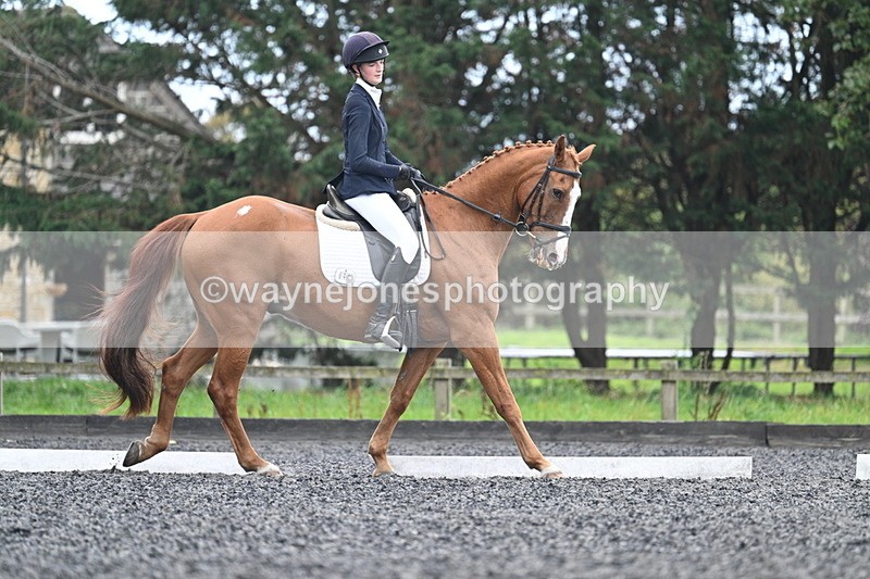 WJ7_6703 - Time 14:49 to 15:14