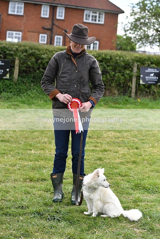 WJ5_9397 - Class 1 Best Cross Breed / Heniz 57