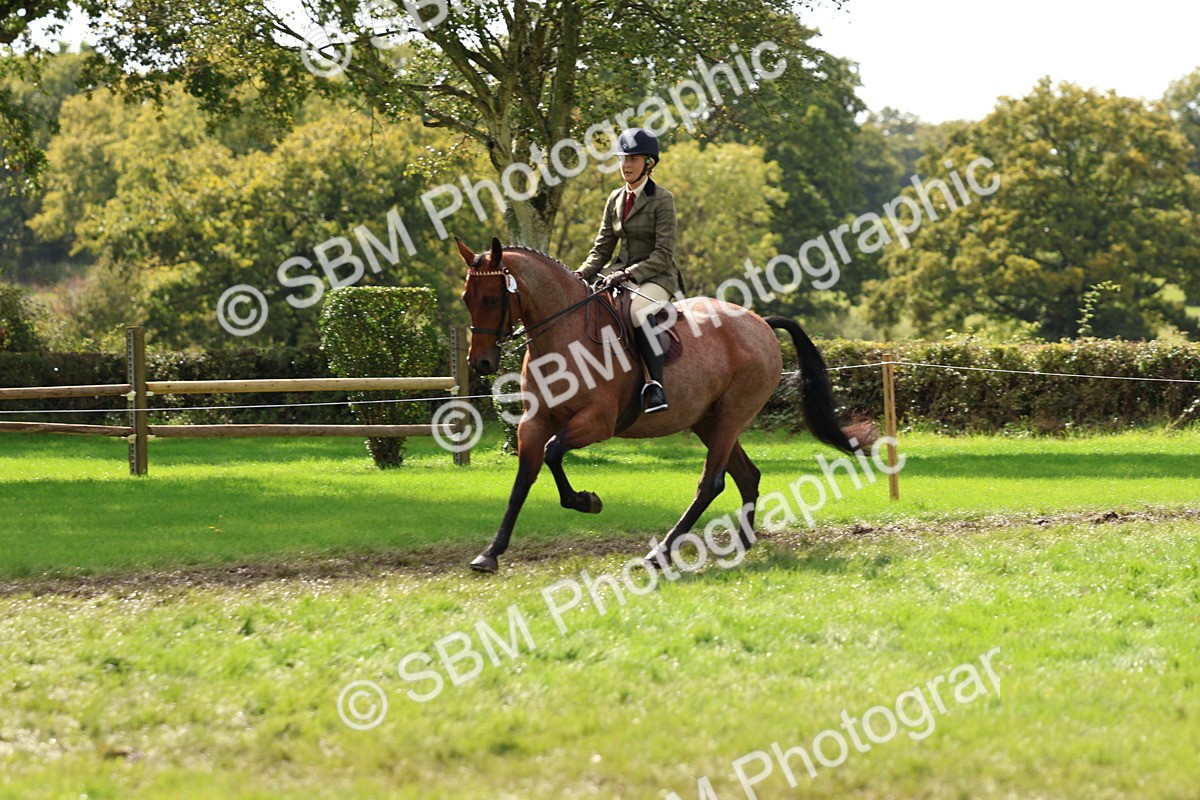 SBM_45254 - S27 - Young Veteran Ridden