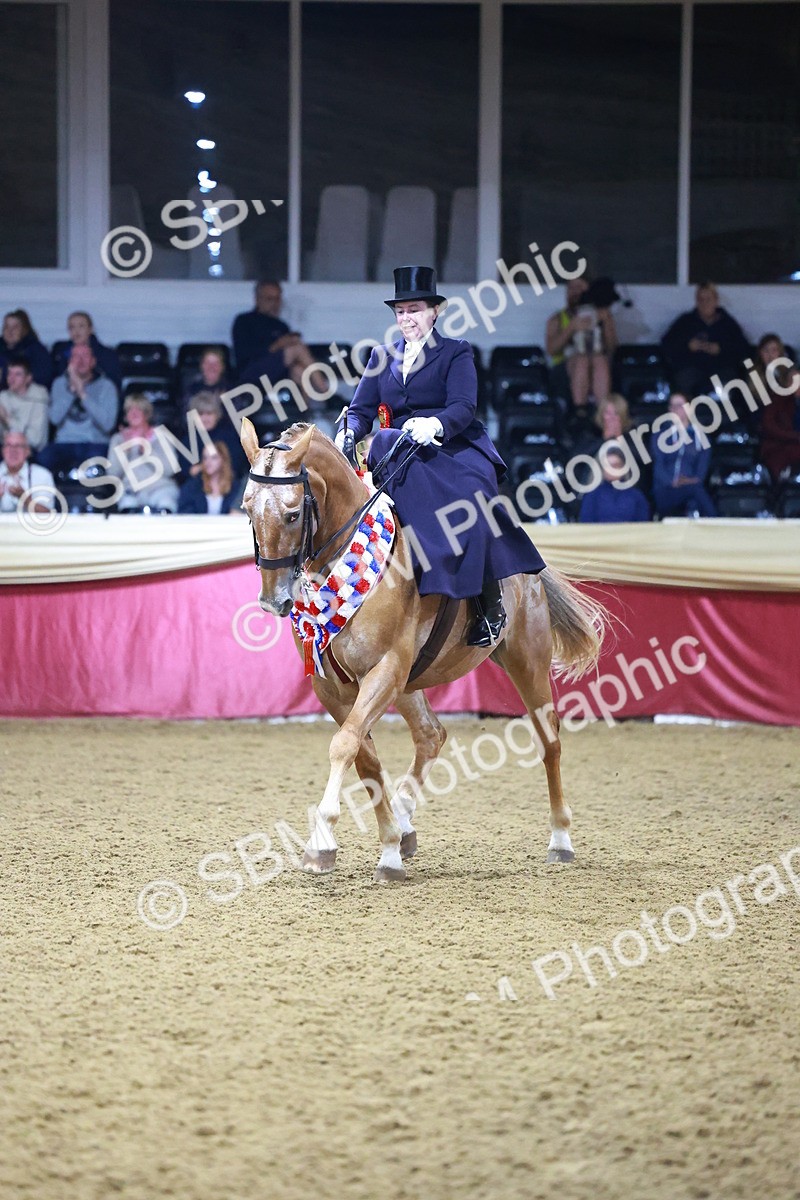 SBM_15766 - Class T - Working Veteran Champ