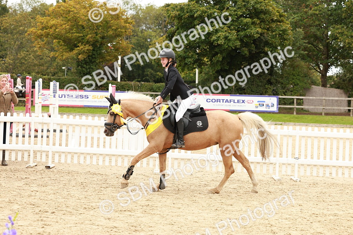 SBM_63917 - J12 - Junior Pony 55cm Championship