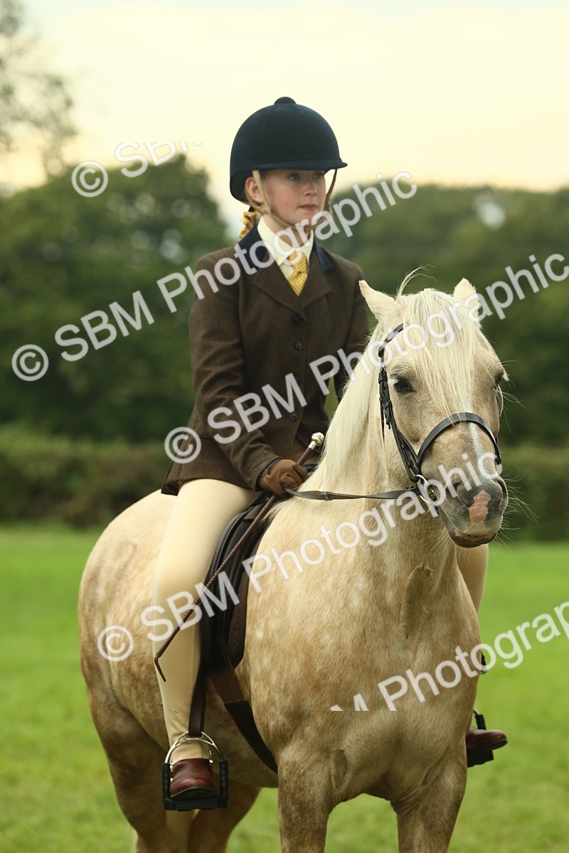 SBM_72263 - S60 - Mountain & Moorland Ridden Large Breeds