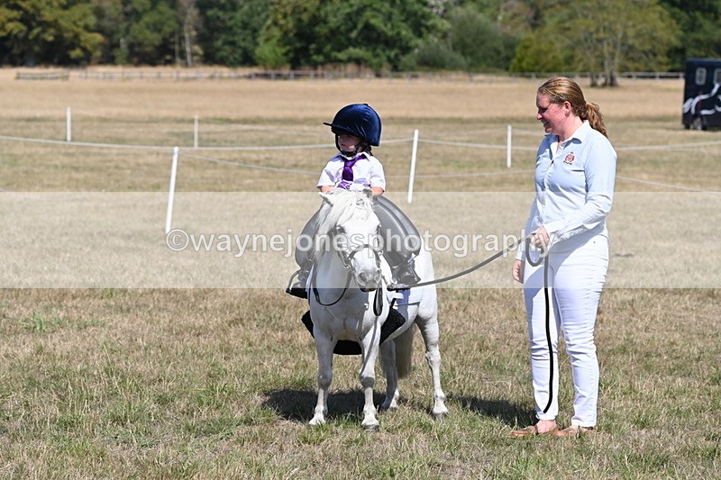 WJ6_9403 - Class 40 Cheekiest Pony/Horse
