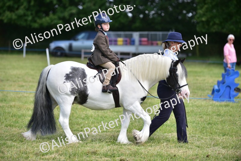 20260614-1127 - Class 11a - Lead Rein Pony (Unplaited)