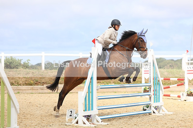 3E7A4609 - Class 4: Senior British Novice/90cm open