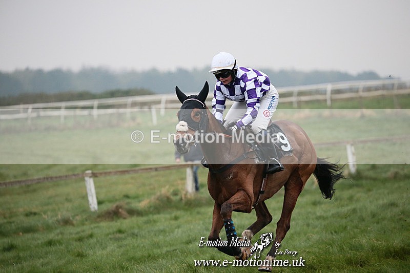 PtP 261123 265 - Hursley Hambledon Point-to-Point Larkhill 26 Nov 2023
