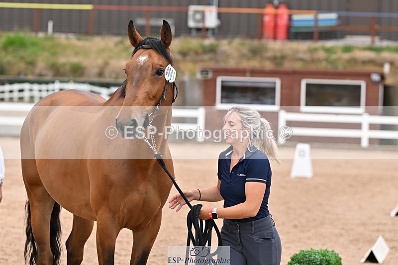 250716-143451-01224 - Trot Up 2.30 to 3.30