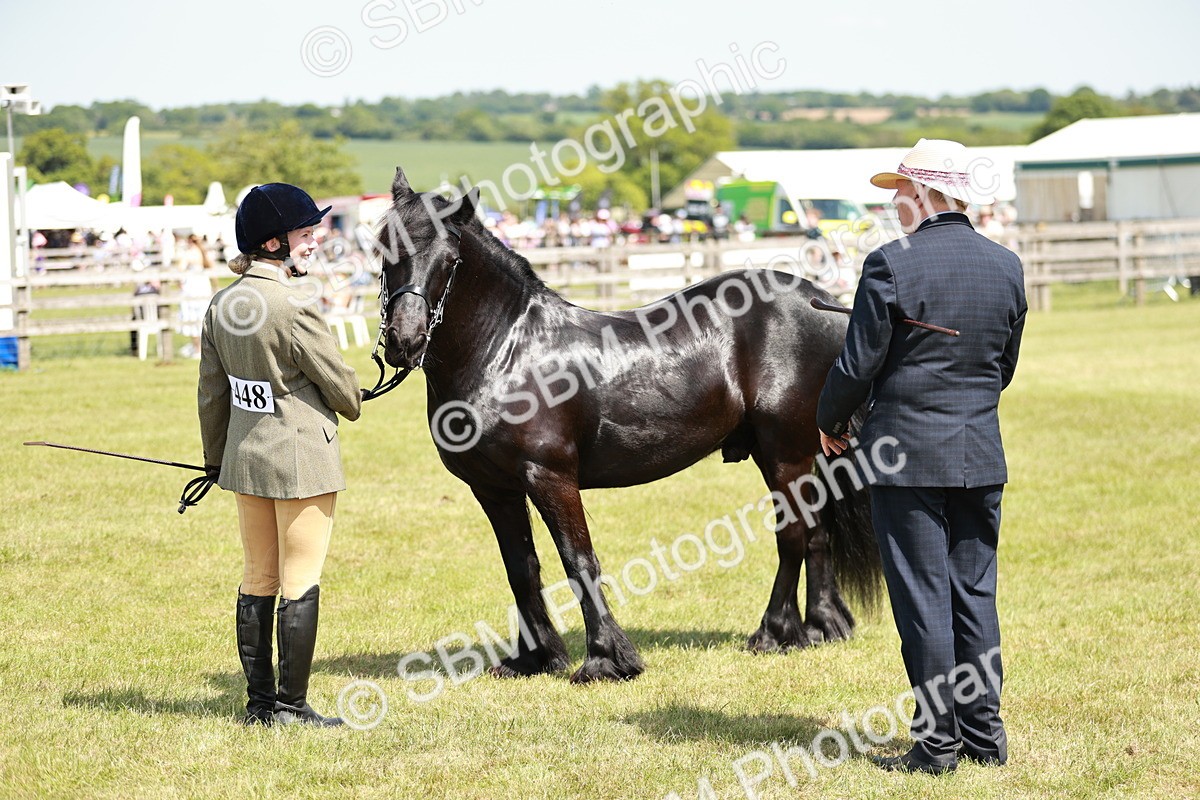 SBM_07172 - Class 26-30 - Mountain and Moorland Ridden