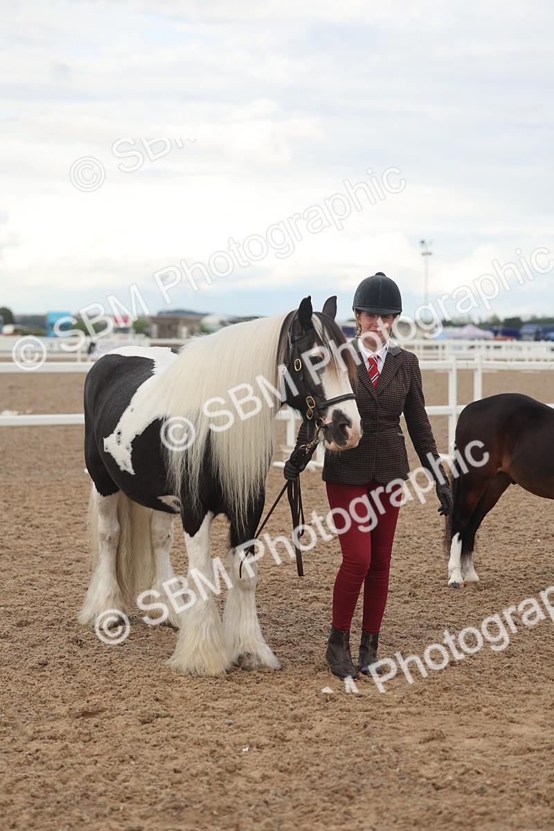 SBM_08514 - Class 29 - IH Veteran Pony